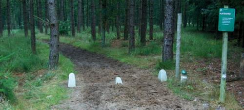 Carterkiller aan rand van het bos zodat er geen auto's doorkunnen