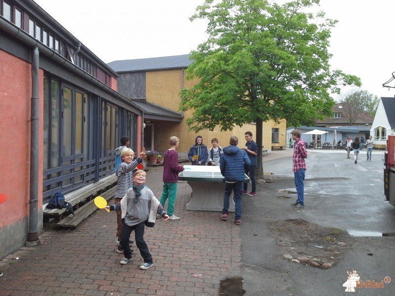 Vidarskolen fra / af  Gentofte