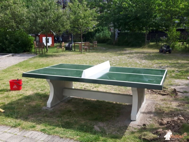 Absalonsgadekareen Kbh V fra / af  København V