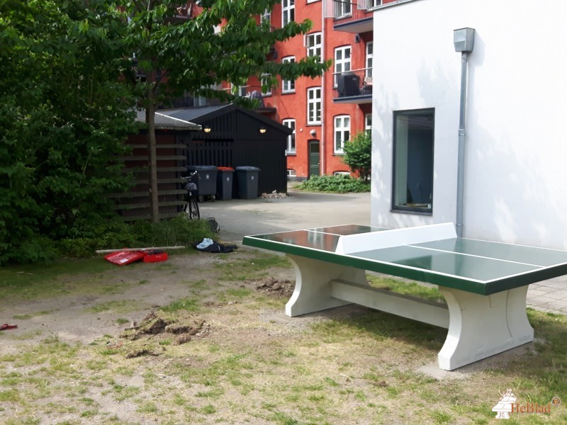 Absalonsgadekareen Kbh V fra / af  København V