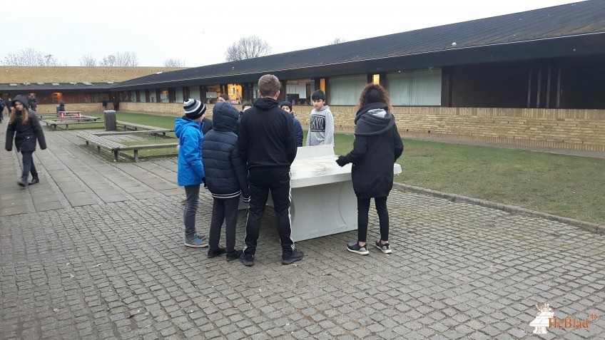Ellemarkskolen fra / af  Køge