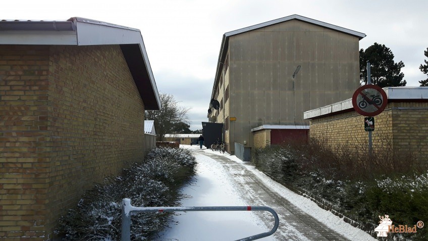 Civica Afdeling 1 fra / af  Odense NV