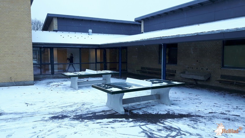 Sabro-Korsvejskolen fra / af  Rønde