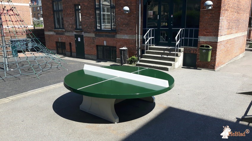Frederik Barfods Skole fra / af  Frederiksberg C