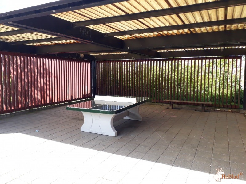 skovvejens skole fra / af  Ballerup