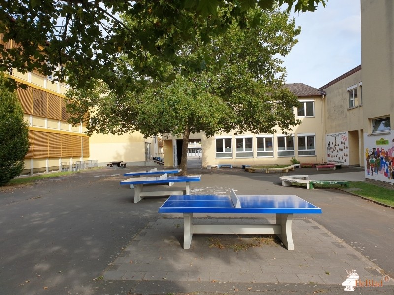 Goetheschule Dieburg uit Dieburg