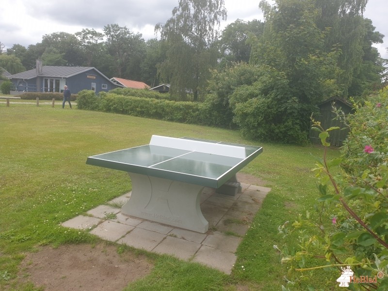 Sommerhusforeningen Skovvænget fra / af  Juelsminde
