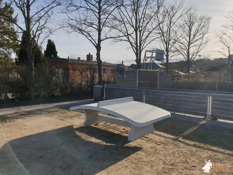 Rungsted Skole fra / af  Rungsted Kyst