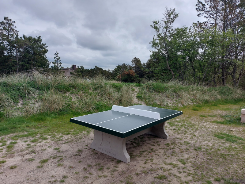Ji sport fra / af  Blåvand