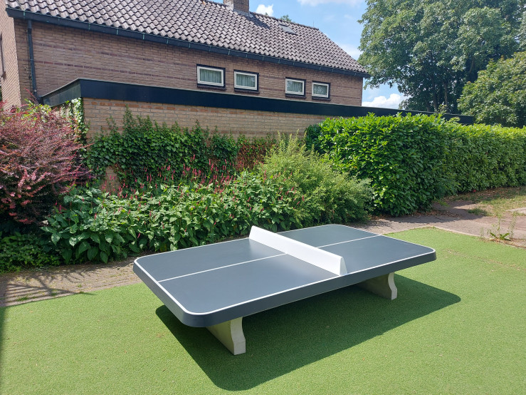 Bordtennisbord lavt, afrundet antracit