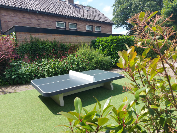 Bordtennisbord lavt, afrundet antracit
