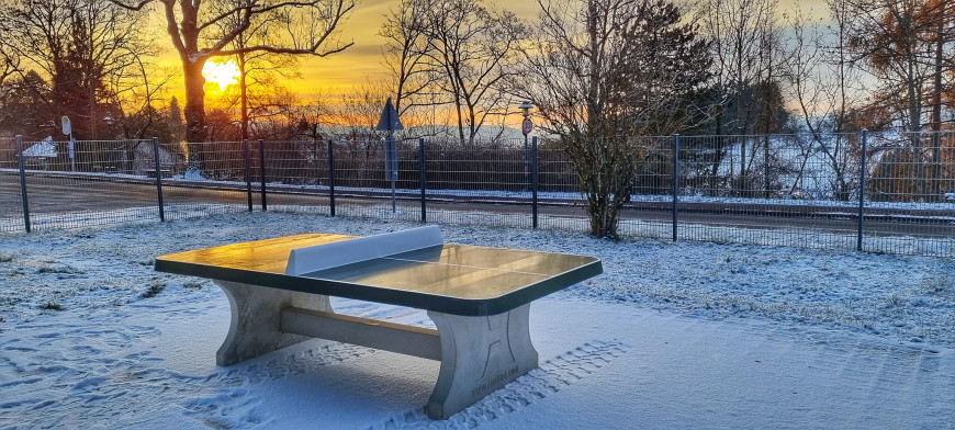 grønt bordtennisbord