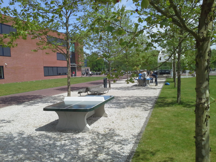 Afrundet Bordtennisbord Grøn