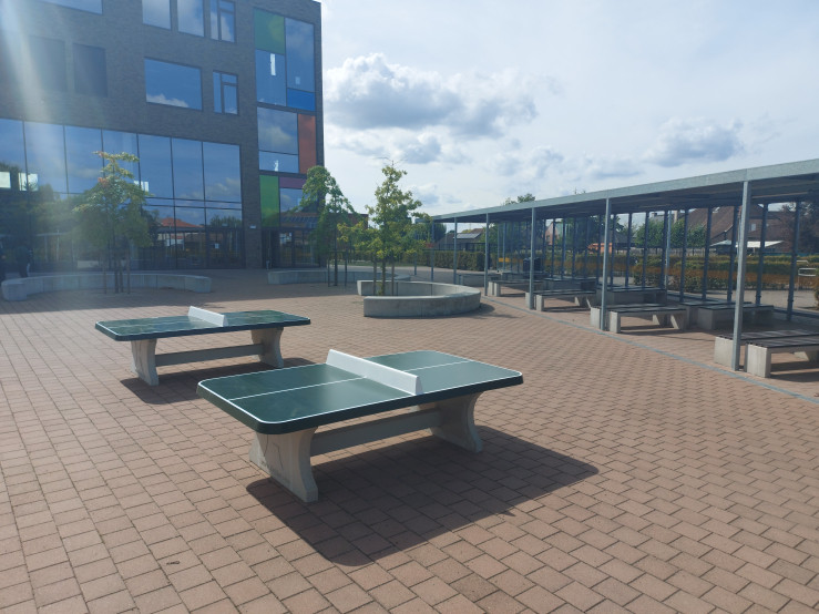 Afrundet Bordtennisbord Grøn