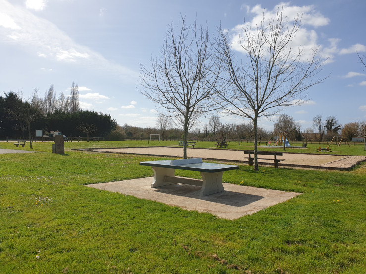 Afrundet Bordtennisbord Grøn