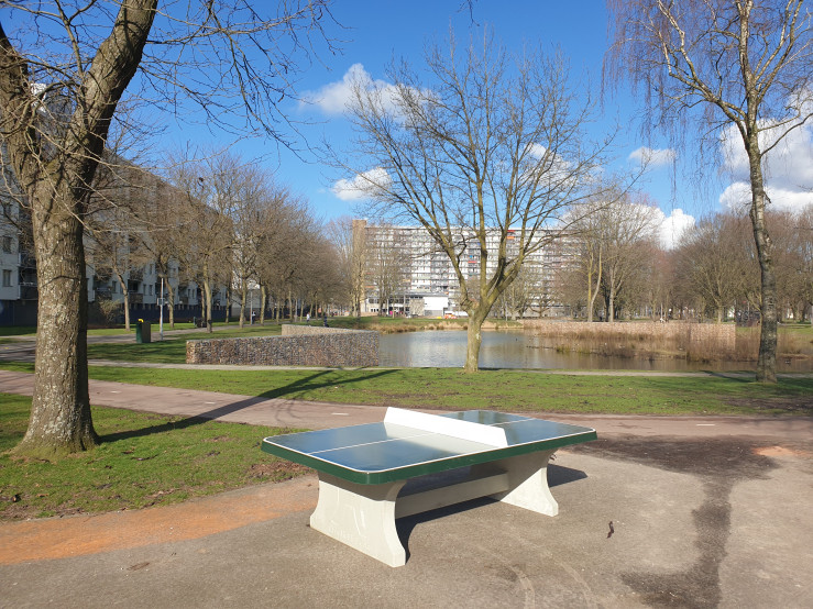 Afrundet Bordtennisbord Grøn