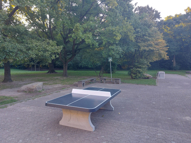 Afrundet Bordtennisbord Antracit