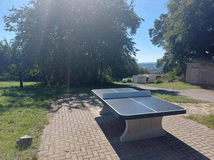 Afrundet Bordtennisbord Antracit
