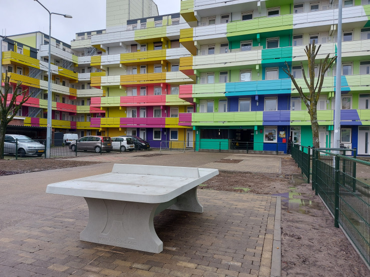 Afrundet Bordtennisbord Rå Beton