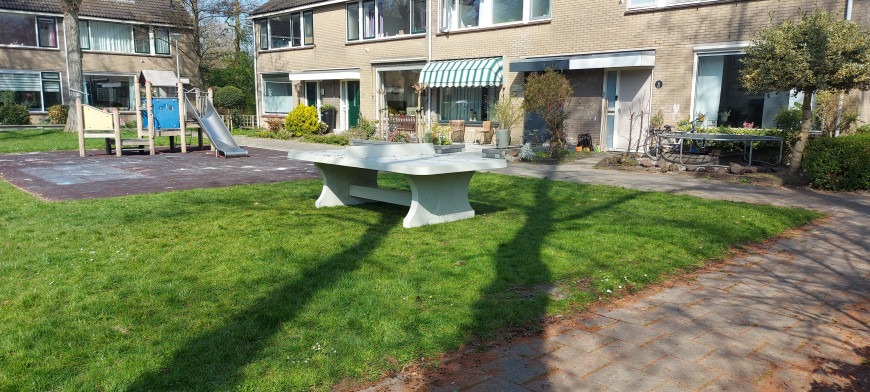 Afrundet Bordtennisbord Rå Beton