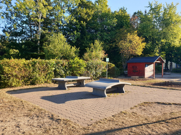 Afrundet Bordtennisbord Antracit-Beton