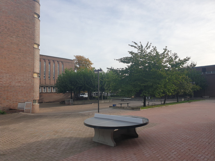 Rundt Bordtennisbord Antracit