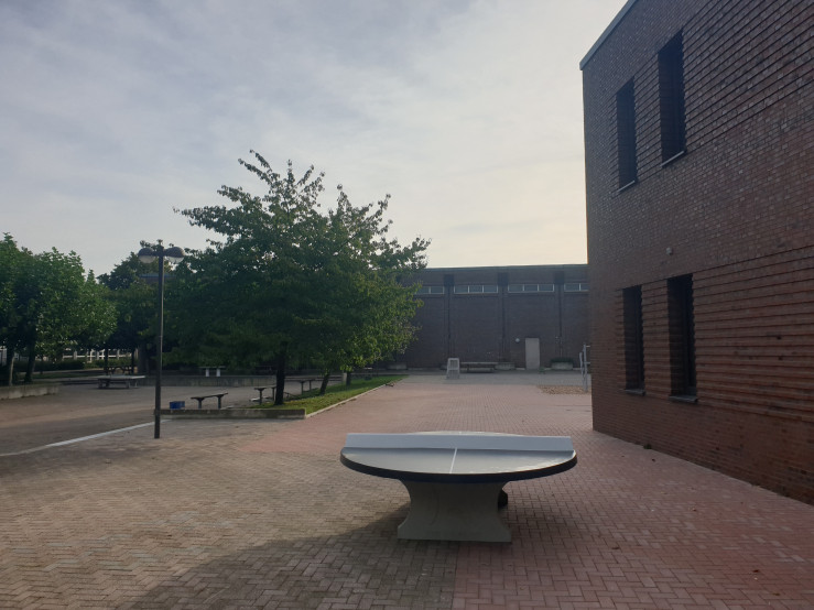 Rundt Bordtennisbord Antracit