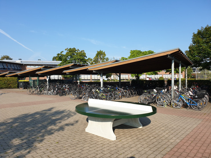 Rundt Bordtennisbord Grøn