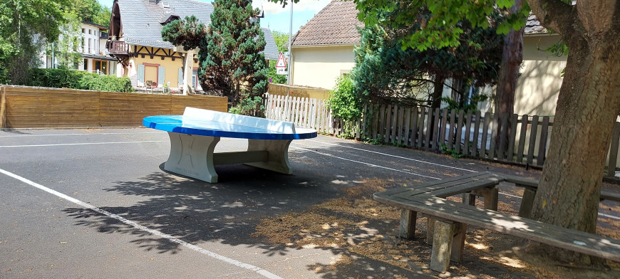 Rundt Bordtennisbord Blå