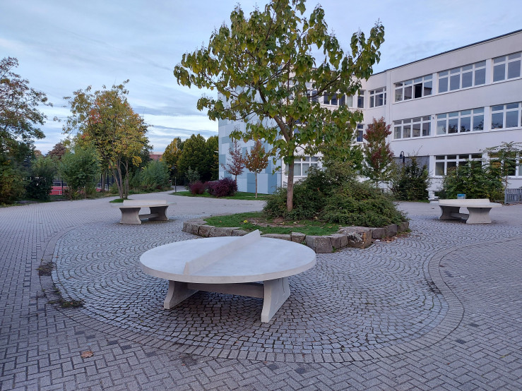 Rundt Bordtennisbord Rå Beton