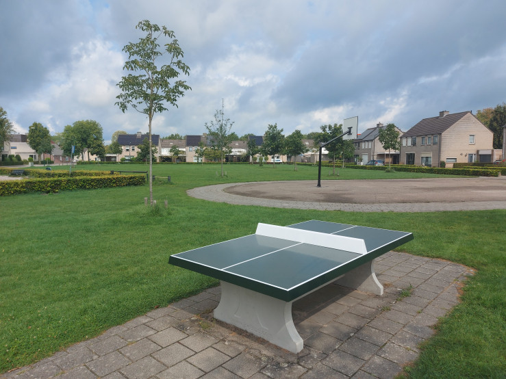 Bordtennisbord Grøn