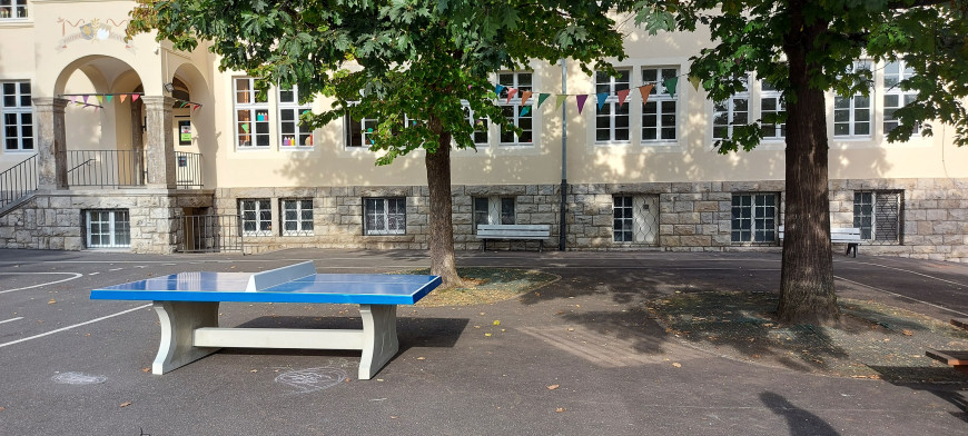 Bordtennisbord blå