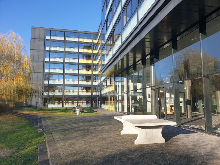 Bordtennisbord Rå Beton