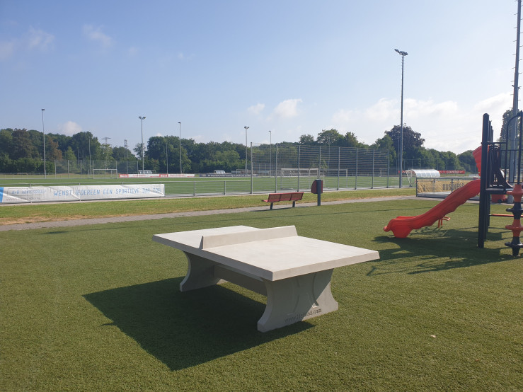Bordtennisbord Rå Beton